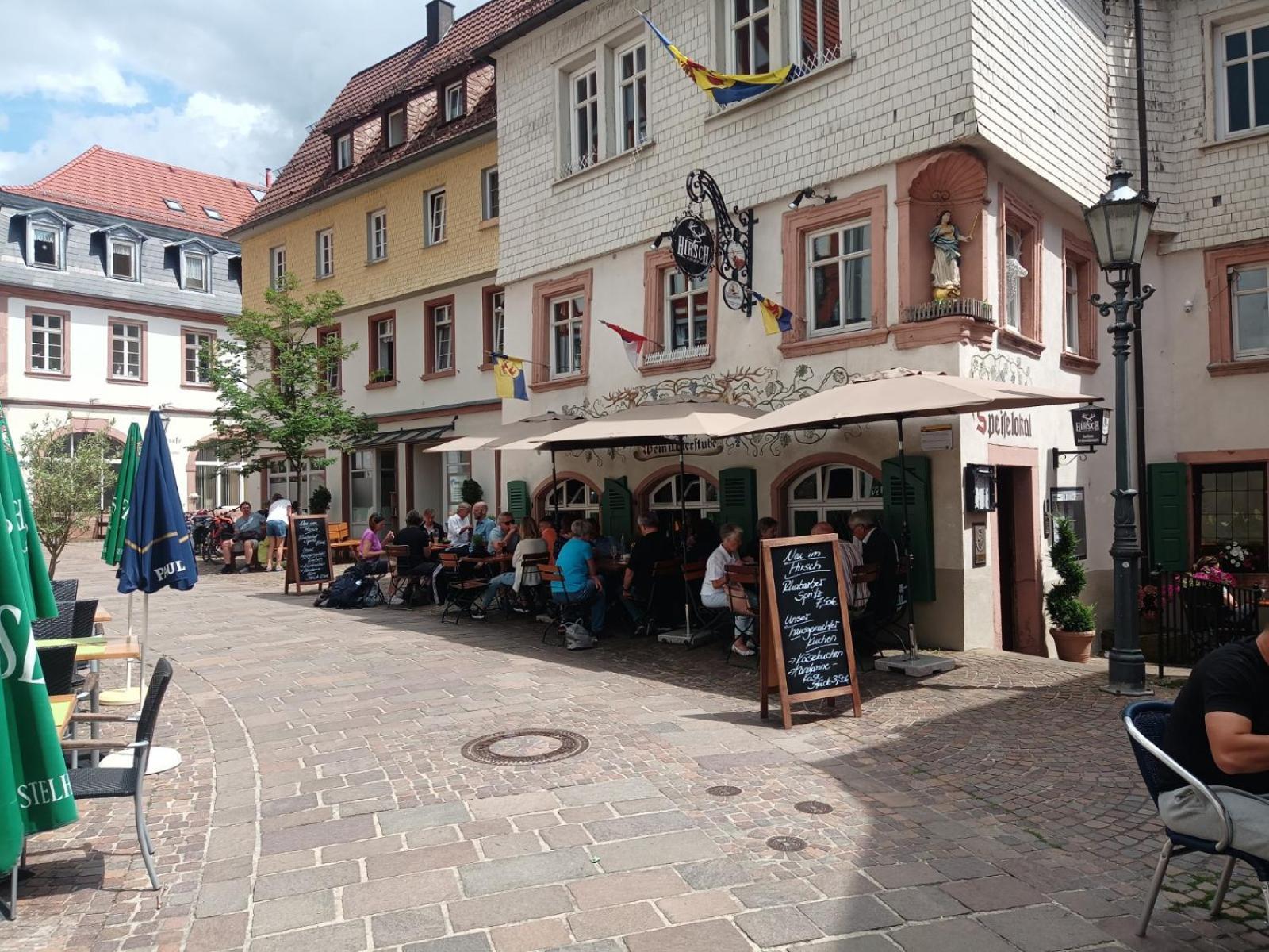 Appartement Schlossberg, Gasthaus Hirsch Hirschhorn Zewnętrze zdjęcie