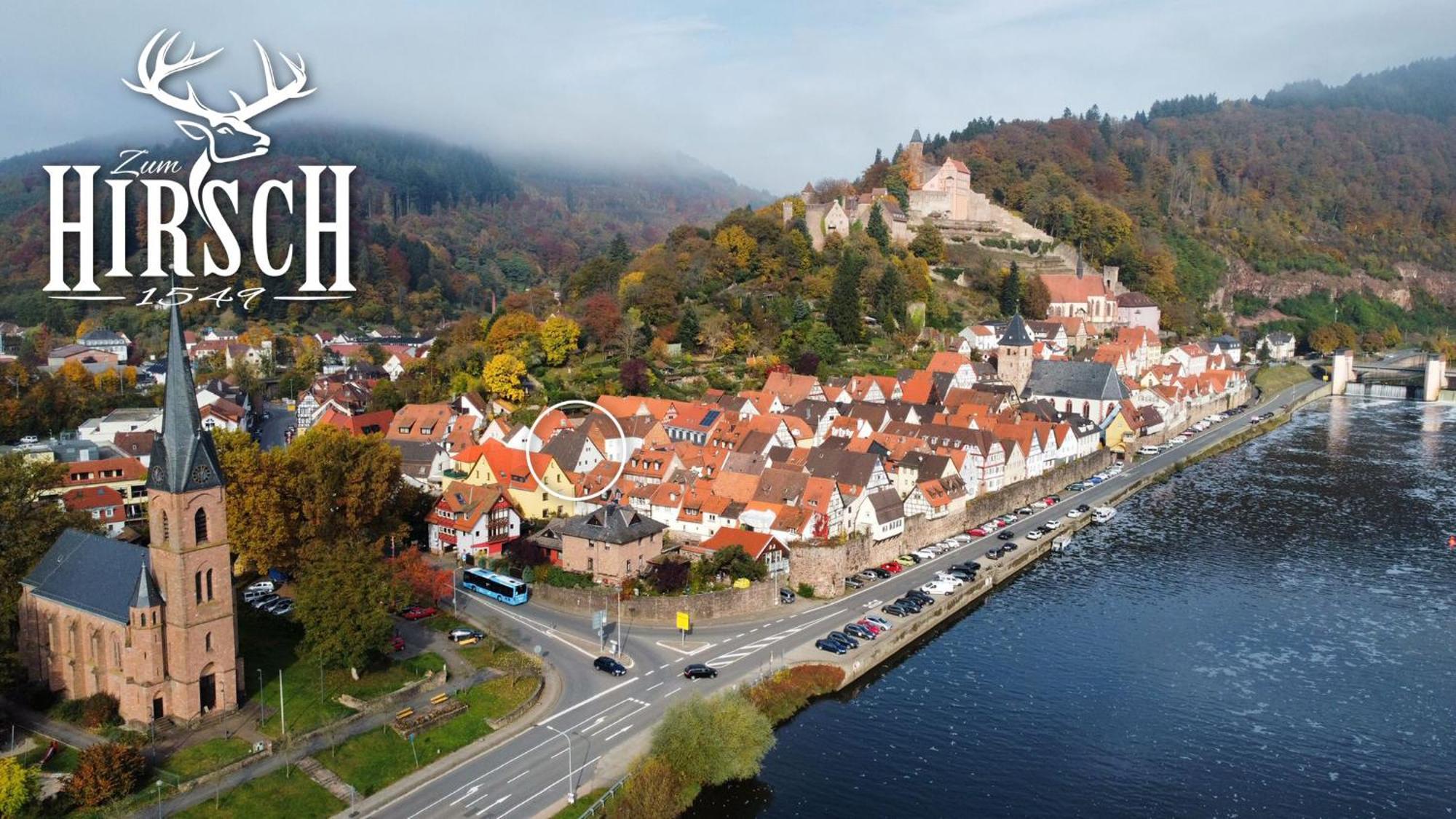 Appartement Schlossberg, Gasthaus Hirsch Hirschhorn Zewnętrze zdjęcie